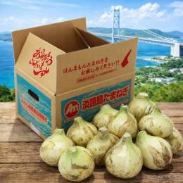 淡路島ほんまもんたまねぎ新玉(極早生種)約5kg 【予約受付中】