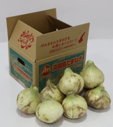 JAあわじ島オンラインショップ / 淡路島ほんまもんたまねぎ 新玉